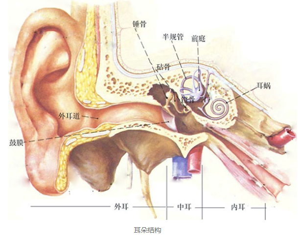 运动