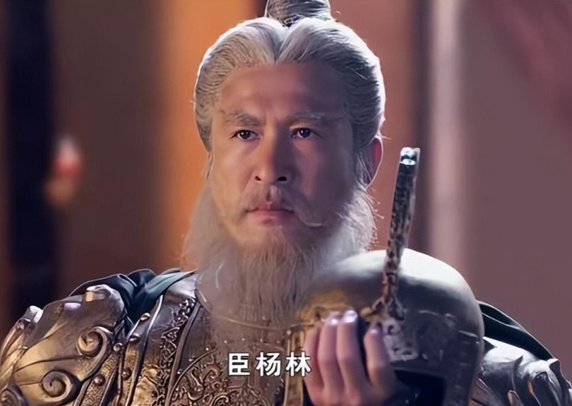 隋唐演义杨林:大隋朝的"擎天博玉柱",架海紫金梁靠山