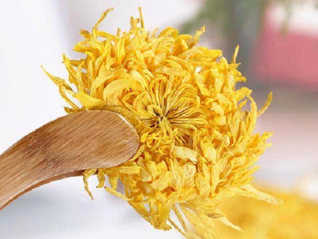 温县怀菊花功效与作用的璀璨瑰宝,健脾养胃强肾,产地温县_养生_食用