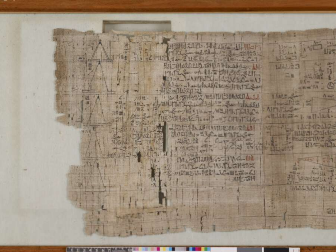 莎草纸——数千年前的信息记录载体_文献_奥克西林库斯_历史舞台