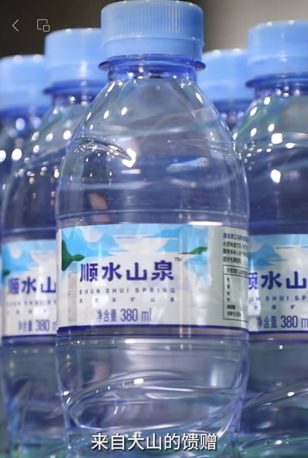 浙江温州|源自泰顺乌岩岭国家级自然保护区的顺水山泉成为两会指定用