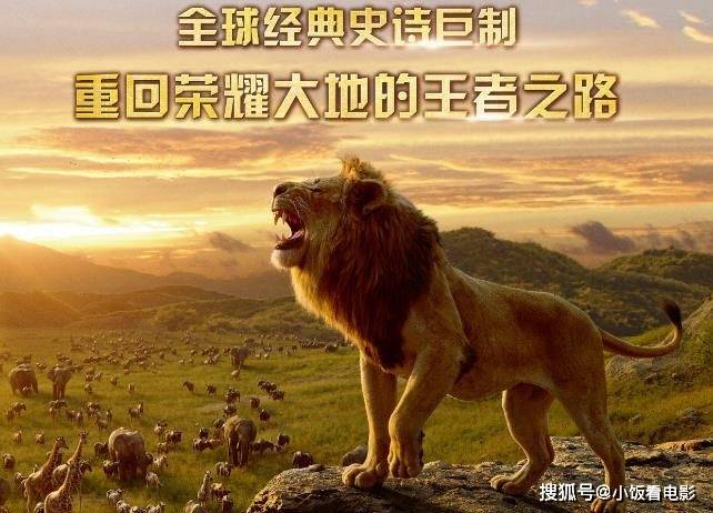 2019年的《狮子王》凭借其逼真的视觉效果和精美的动物造型,为观众