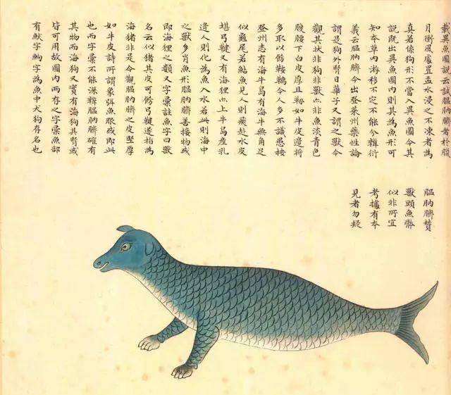 再往后翻翻,《海错图》里除了海豚,还有海狗,海驴,海马,海豹,鹿鱼.