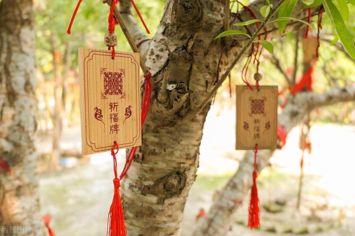 总把新桃换旧符还是采得菖蒲届端阳写的是古人在过年期间的习俗?