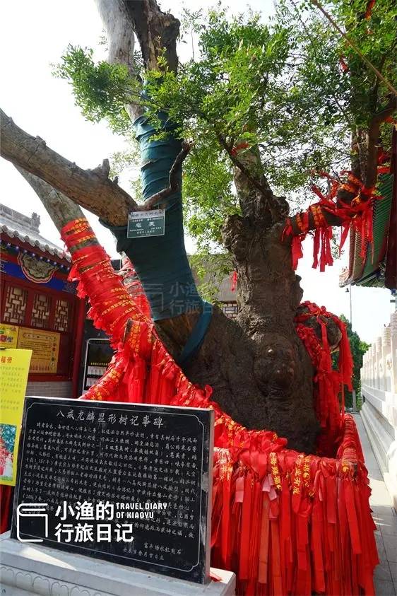 都是千年爱情圣地,有有