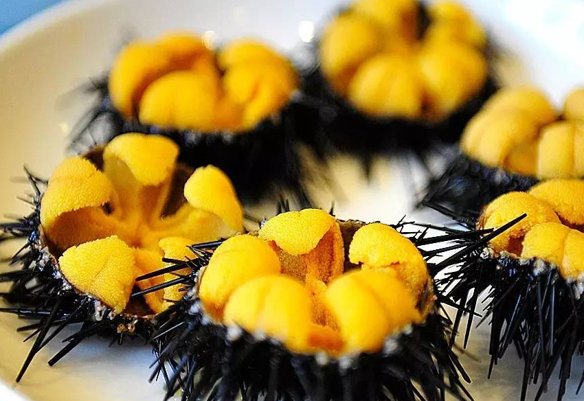 世界上可以生吃的4大海鲜,你吃过几样?全都吃过我服你