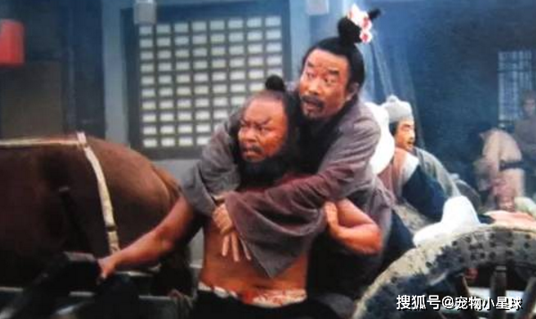 李逵对宋江忠心耿耿,宋江却将其毒死,李逵死前一句话!