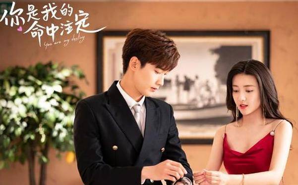 该剧是由梁洁和邢昭林领衔主演,剧情节奏非常yaodi快,不