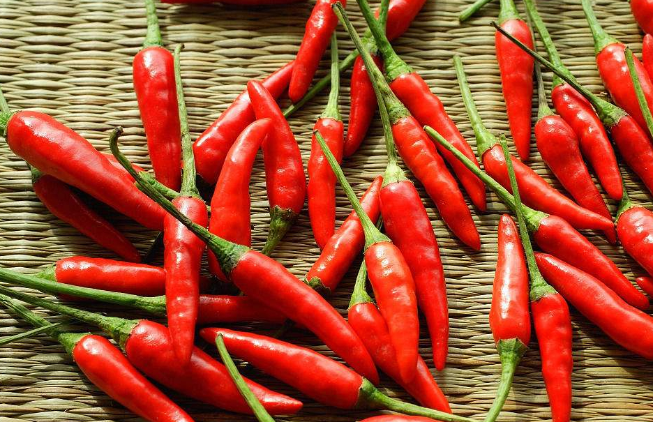辣椒到底是防癌物还是致癌物?今天终于有结论了!