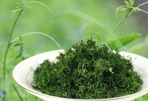 绞股蓝绞股蓝是一种植物,它也是一种中草药,一般来说在我们中国的