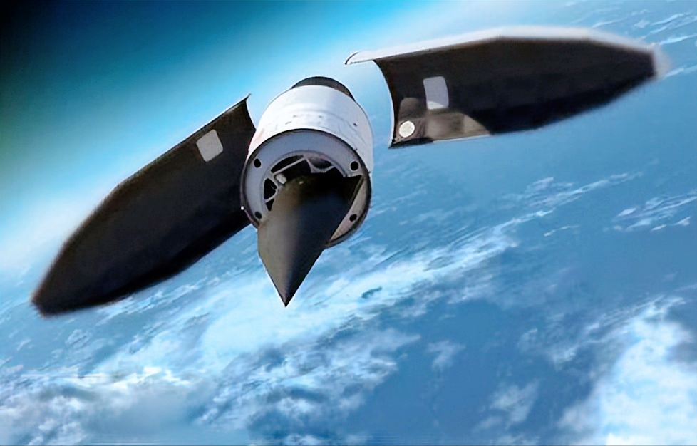 壁纸 动物 鲸鱼 978_626