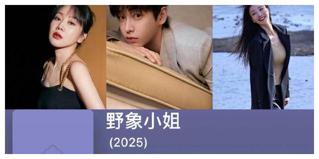 王一博,高圆圆,刘诗诗等娱乐圈新闻,揭秘了隐藏的爆料!