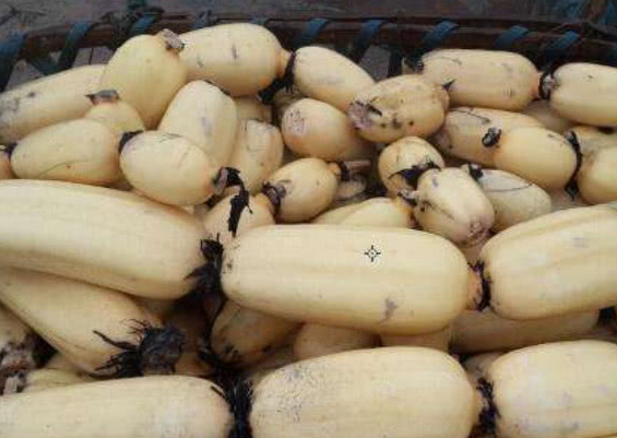 7孔莲藕和9孔莲藕有啥区别?