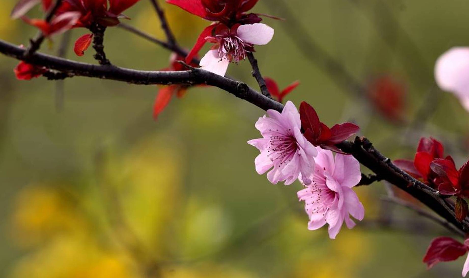 未来3周内,财运上等,收入自然节节高升的3大星座_工作