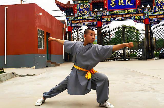 哪种拳法是效仿猿的长臂拳法?以下这3种拳法,可帮你更