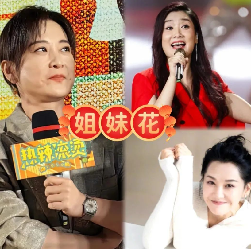 此外,网络上还出现了将贾玲与玲花,许晴等人进行撞脸比较的声音,这无