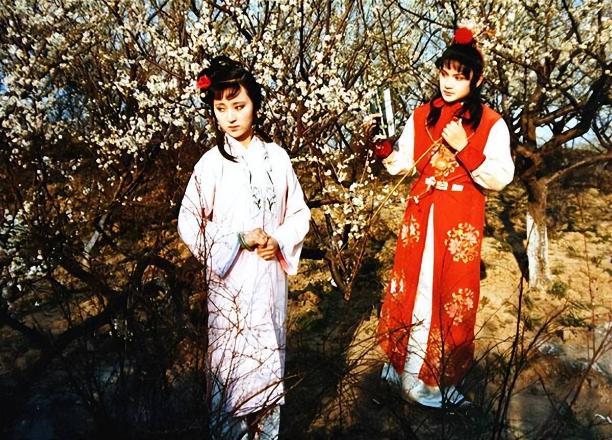 一共3人葬花6次_宝玉_黛玉_落花