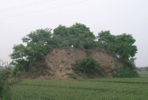 她是寡妇,被迫嫁给仇人儿子,死后口中塞糠,石家庄还有她的家族墓_甄氏
