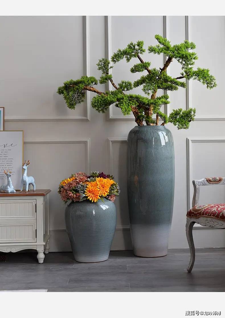 龙吟师傅:客厅的植物选择和摆放要注意哪些风水?_绿色