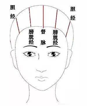 拿五经可刺激头部的穴位