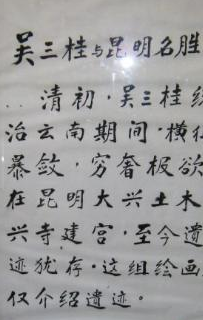 王永康请人写了拜帖,上书"子婿王永康"字样前往平西王府投递