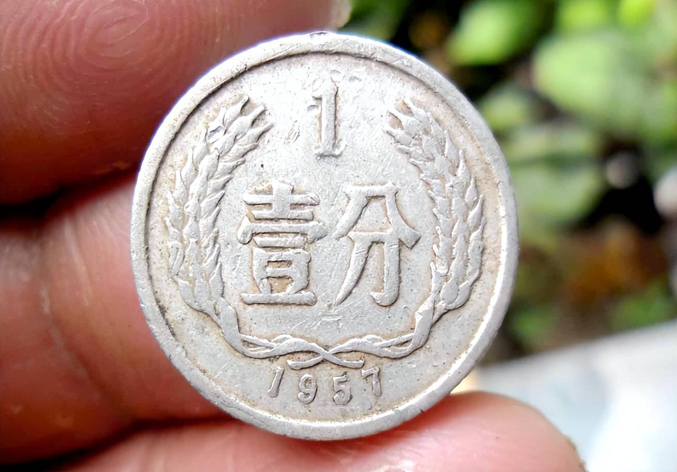 涨了650000倍,少见的1分硬币,你家里能找到吗?_价值_见证_流通