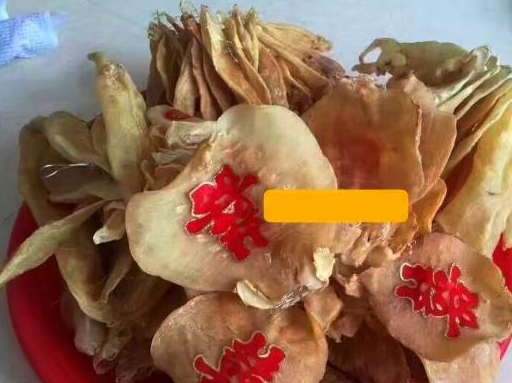 女儿_时候_胶质