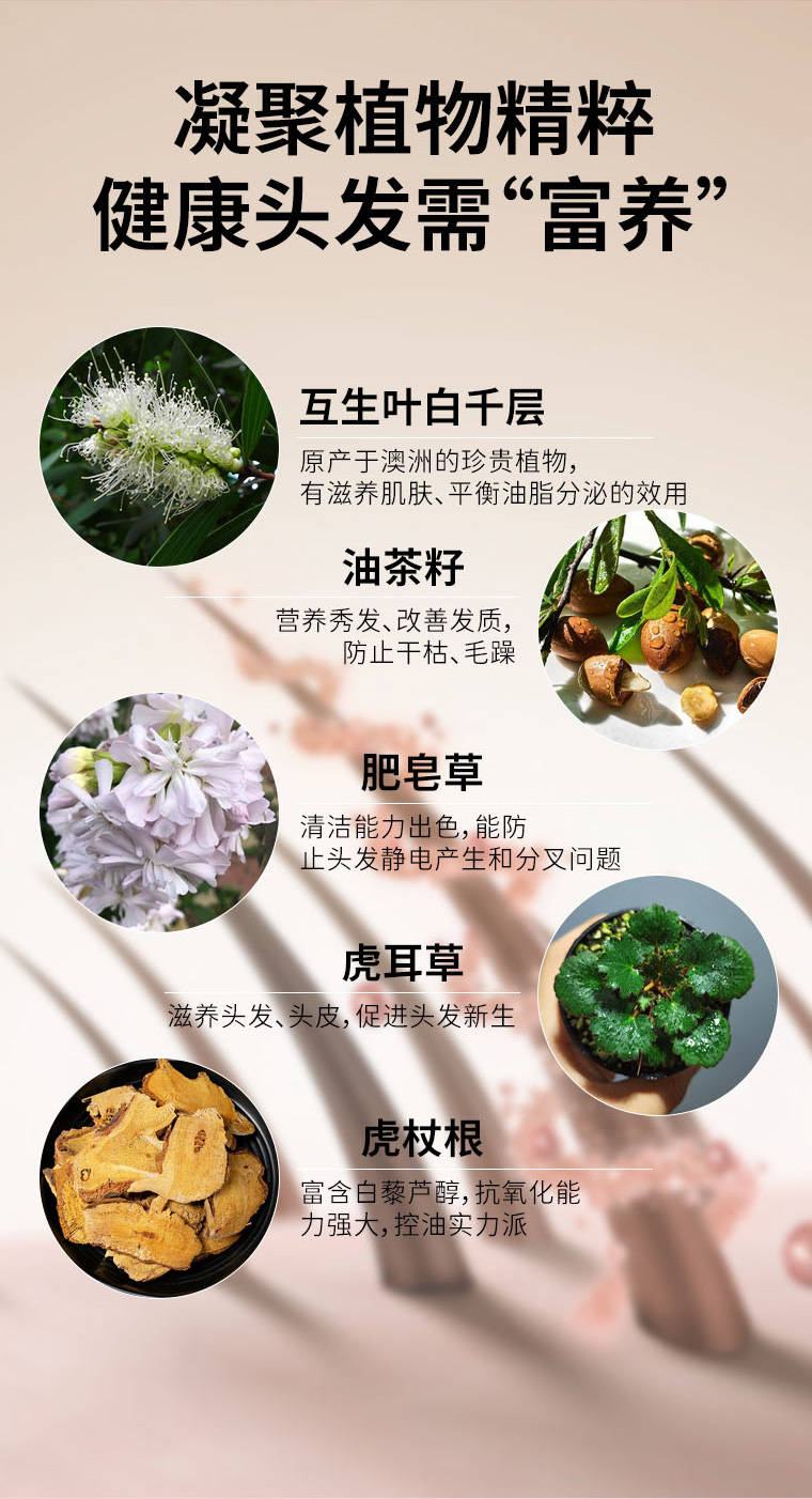 桂悅花植物祛屑洗髮露,octo 二硫化硒雙重祛屑科技,持久安全祛屑才是