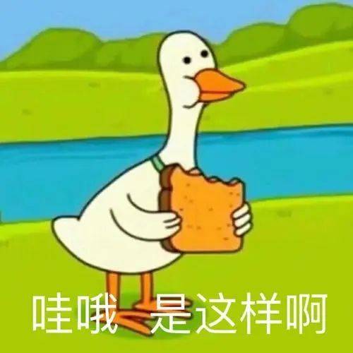 当情绪激动时,交感神经系统兴奋,迫使心脏加速跳动,血液快速泵向脸颊
