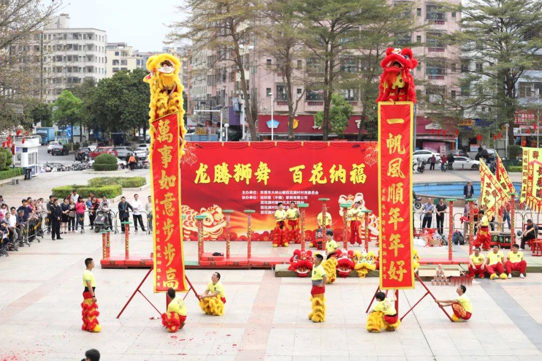 东莞大岭山镇百花洞醒狮迎新,"百千万工程"焕发新春活力_表演_文化