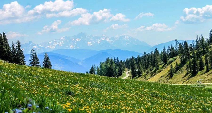 2024年家电企业追涨破内卷要靠什么？-家电圈官网