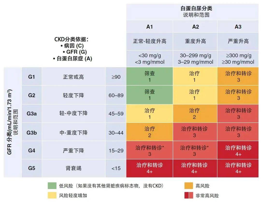 2024版「美国糖尿病指南」发布,"糖尿病肾脏病"管理16项新建议_患者