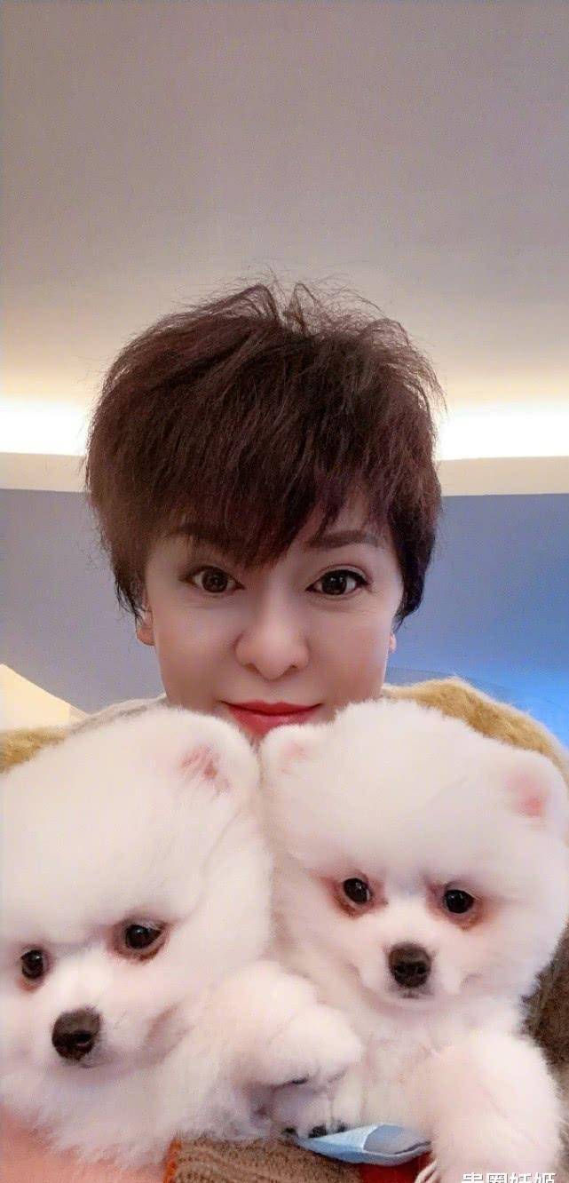 大眼v脸潮装显美,像向佐郭美女的姐姐_感情_祝福_结婚证
