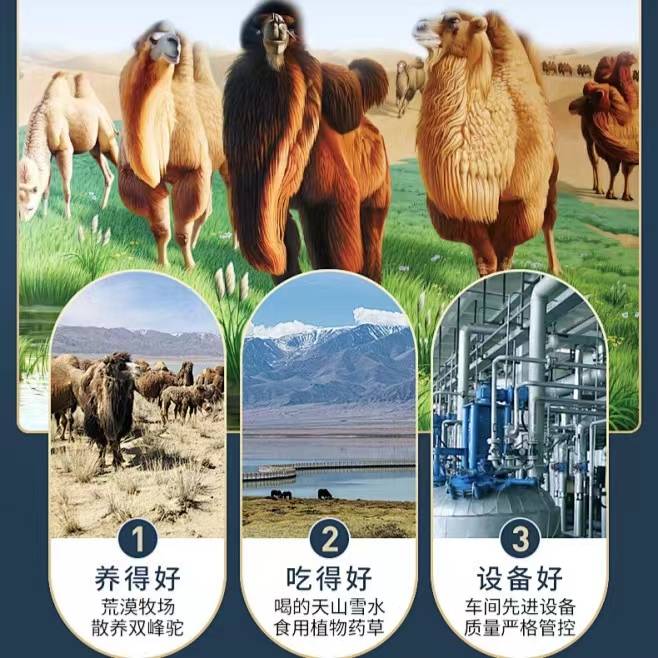 哪里的驼奶粉比较正宗,寻找真正的驼奶粉之路_新疆_骆驼_传承