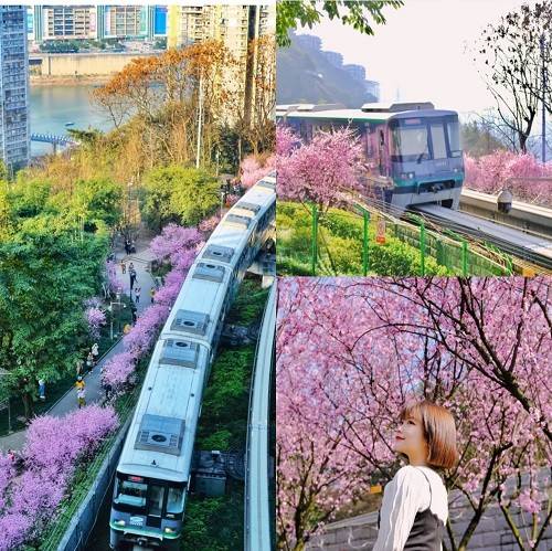 佳佳_行程_全程