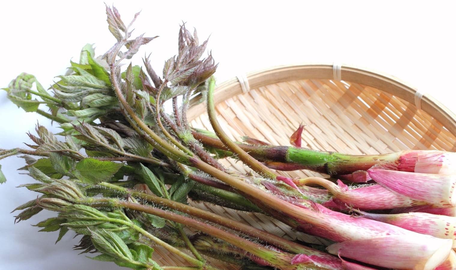 来看看这5种曾经救活日本人的山中野菜吧!_食用_苦涩味_蔬菜