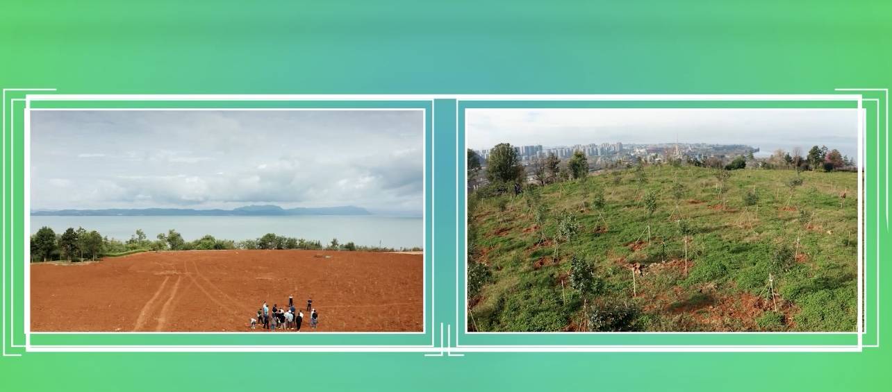 昆明长腰山处处披绿装_植被_滇池_生态