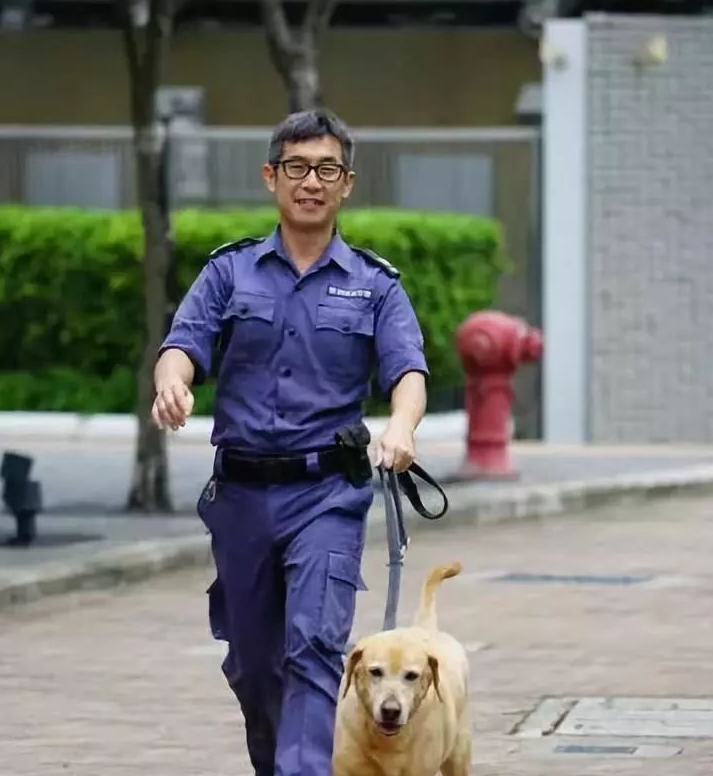 缉毒犬退役后图片