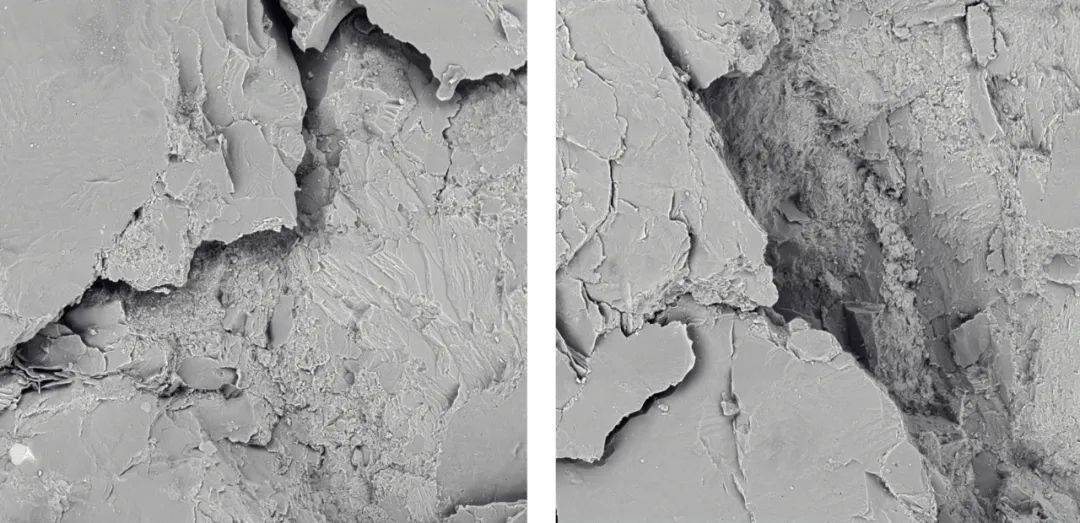 从宏观到微观——泽攸科技zem系列台式扫描电子显微镜在岩石分析中的