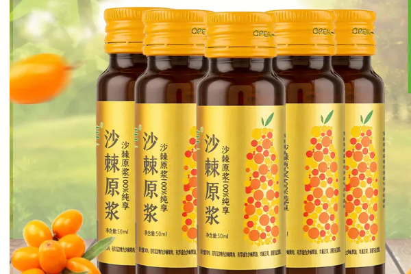 如何提高免疫力,日常食物中隐藏的健康宝藏_沙棘_原浆_维生素