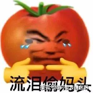 3035383532可爱沙雕表情包_月球_公众_离开