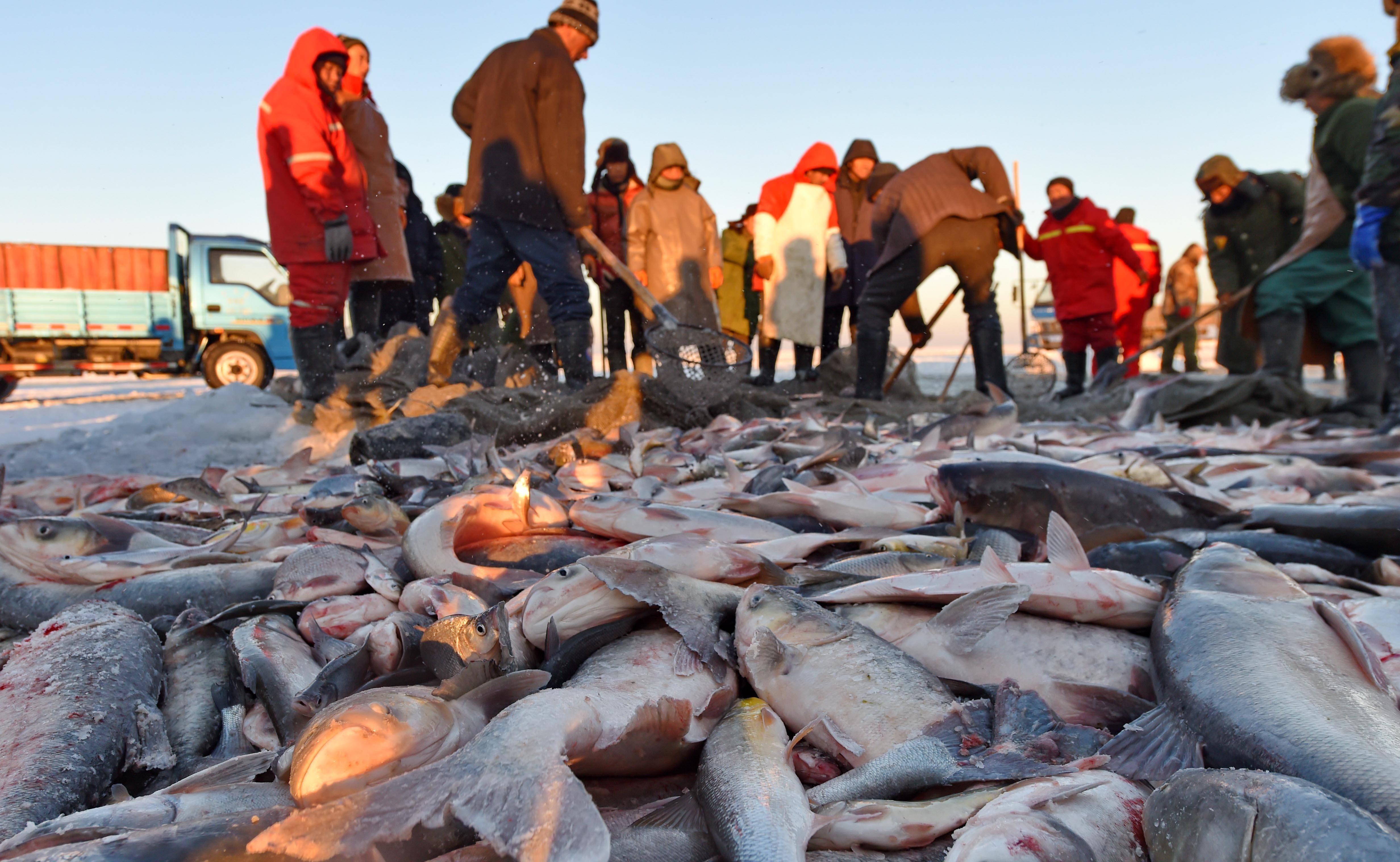 南有阳澄湖,北有查干湖,螃蟹和鱼为什么越捞越多?_产量_湖泊_网友