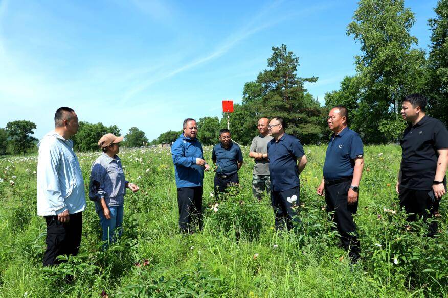 阿木尔林业局:锚定目标抓关键 真抓实干见成效_工作_管理_项目