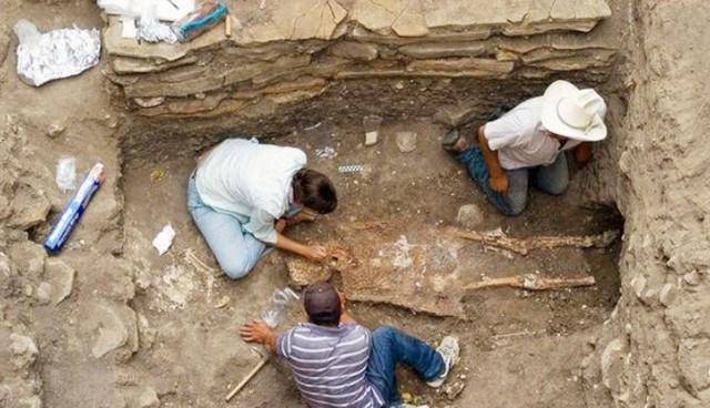 2014年,江西1500年前古墓挖出2件现代瓷器_文物_历史_墓室