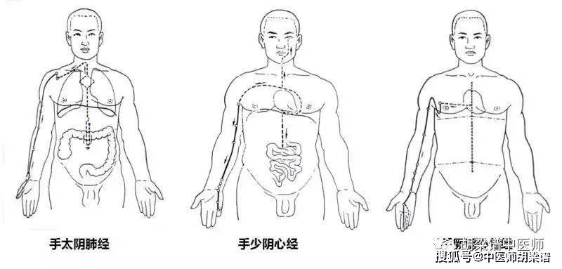 "喉为诸阴之会"----喉及甲状腺疾病经验_经方_咽喉_治疗