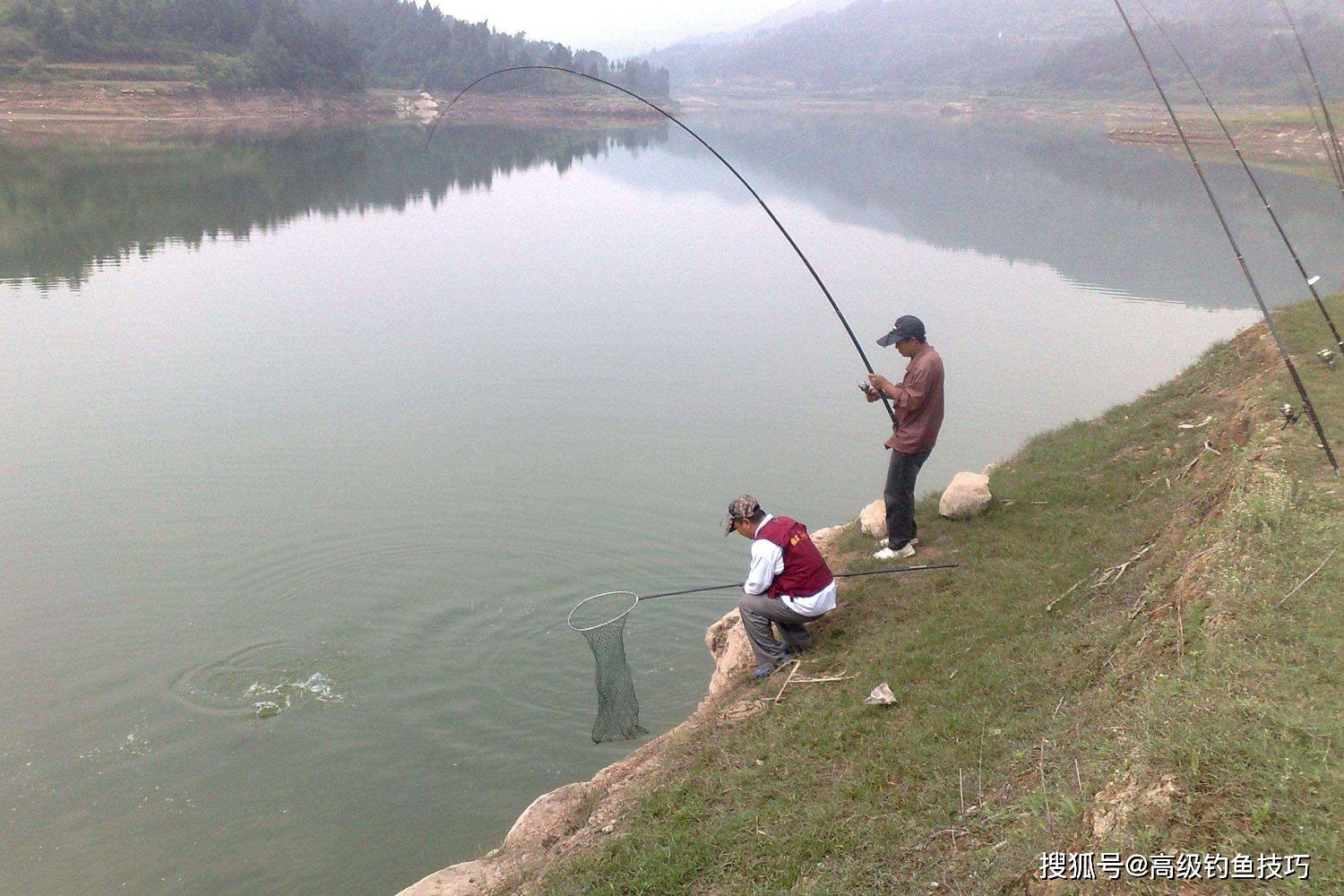 鱼类在初春的活动规律变化,钓鱼越来越容易_水温_趋流_鱼饵