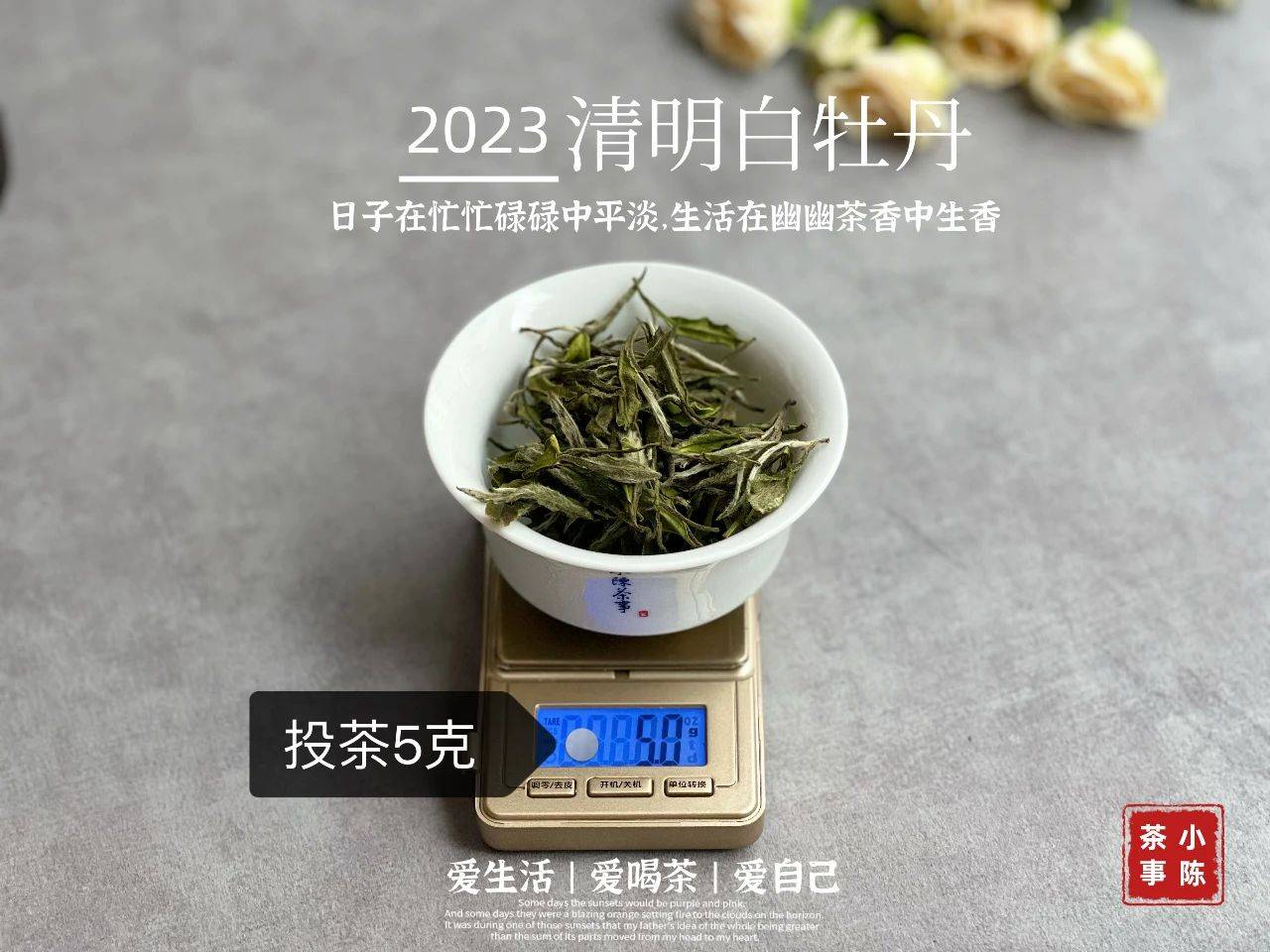 神苗白茶图片