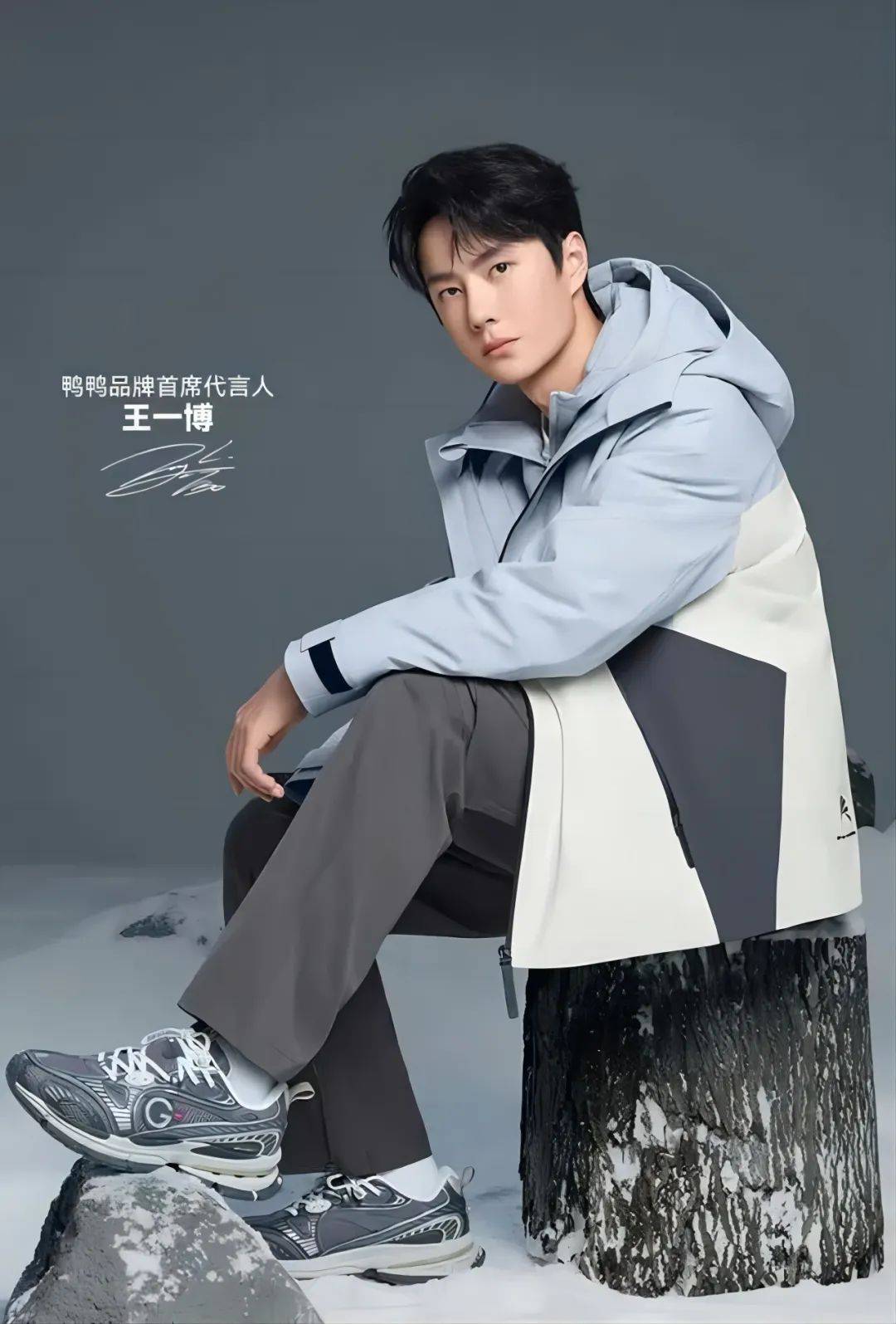 鸭鸭霸屏新潮传媒,明星代言大放异彩,打出羽绒服"国民牌"_品牌_消费者