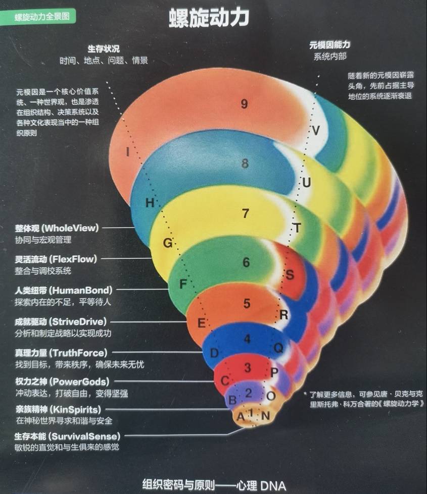 从这个视角能快速看懂_人类_元模_形态