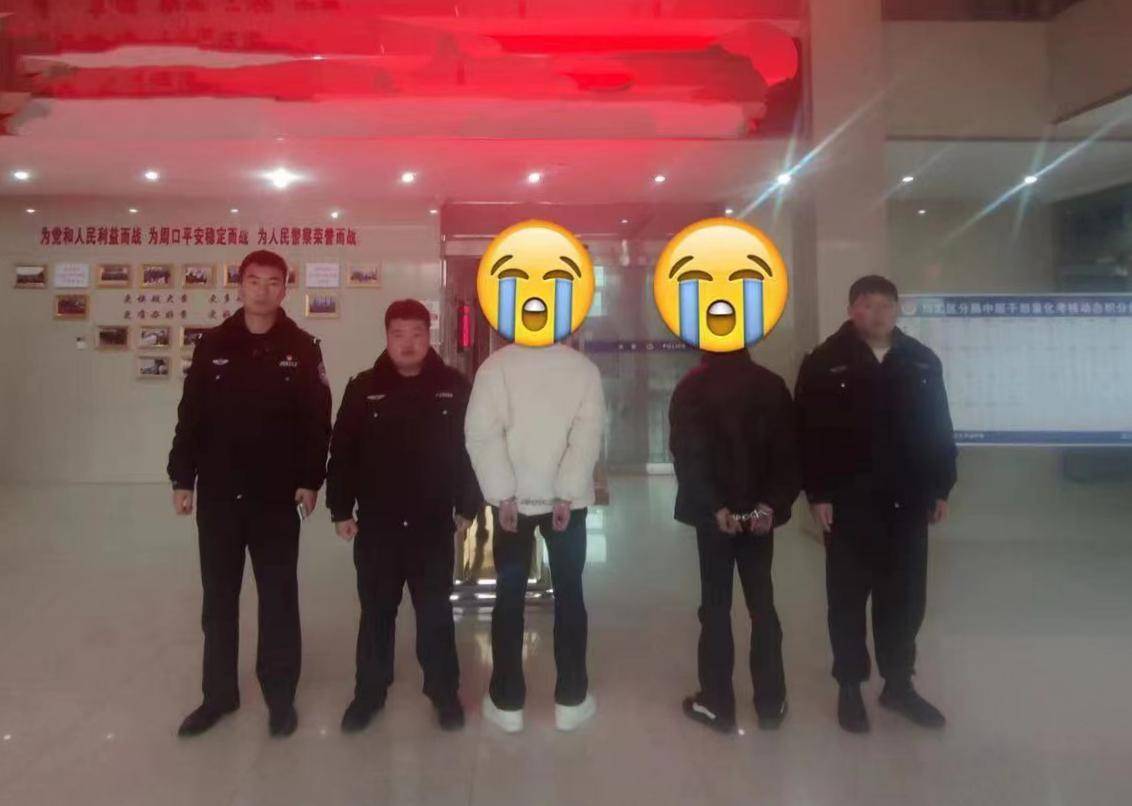 凌晨作案 中午到案——4青年"拉车门"盗窃被周口警方抓获